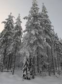 Tilkka 777-411-13-4 1