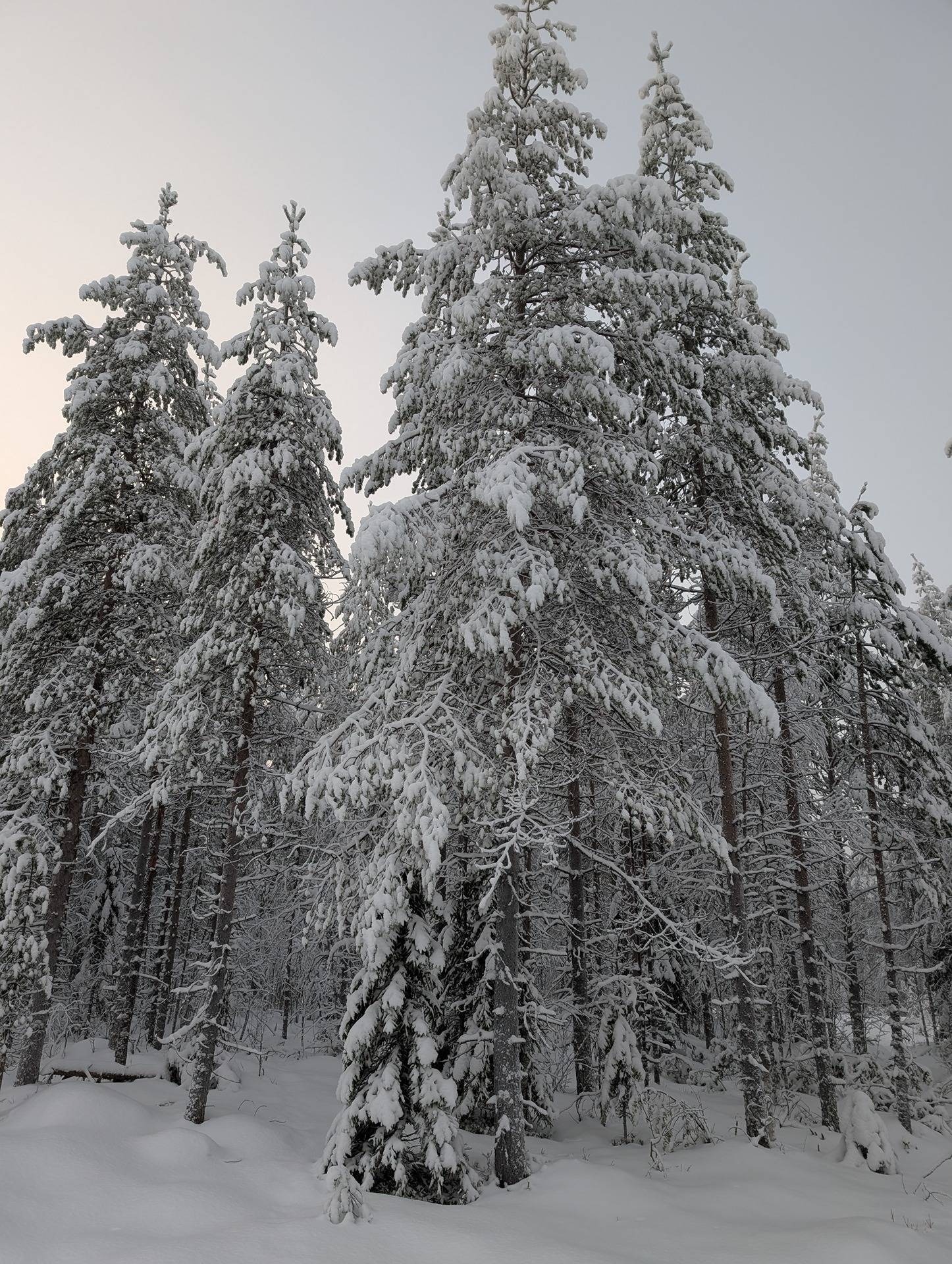 Tilkka 777-411-13-4 1