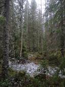 Jurva Santala 301-416-3-99 1