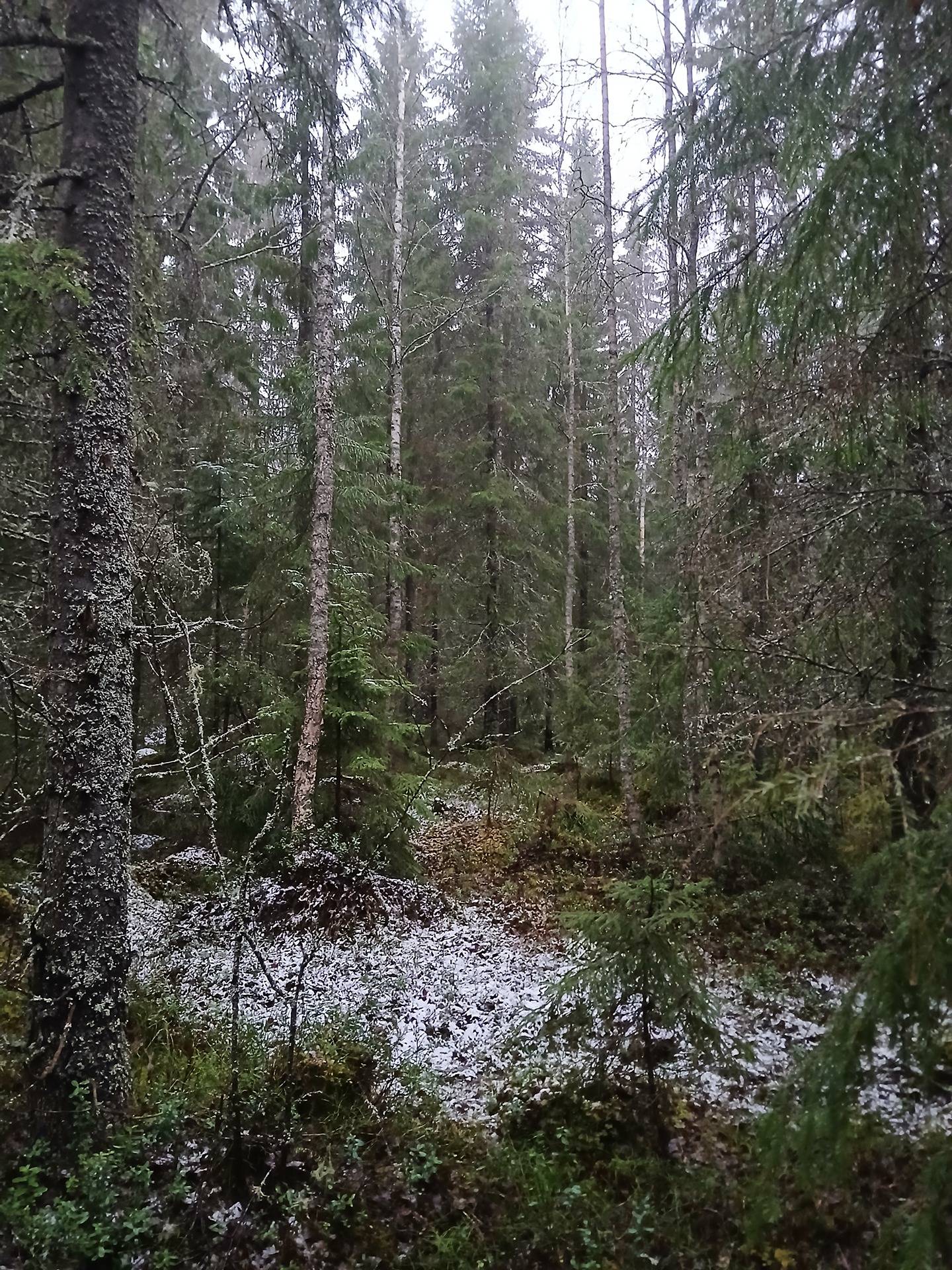 Jurva Santala 301-416-3-99 1