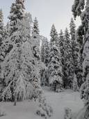 YLITALO 777-408-24-17 1