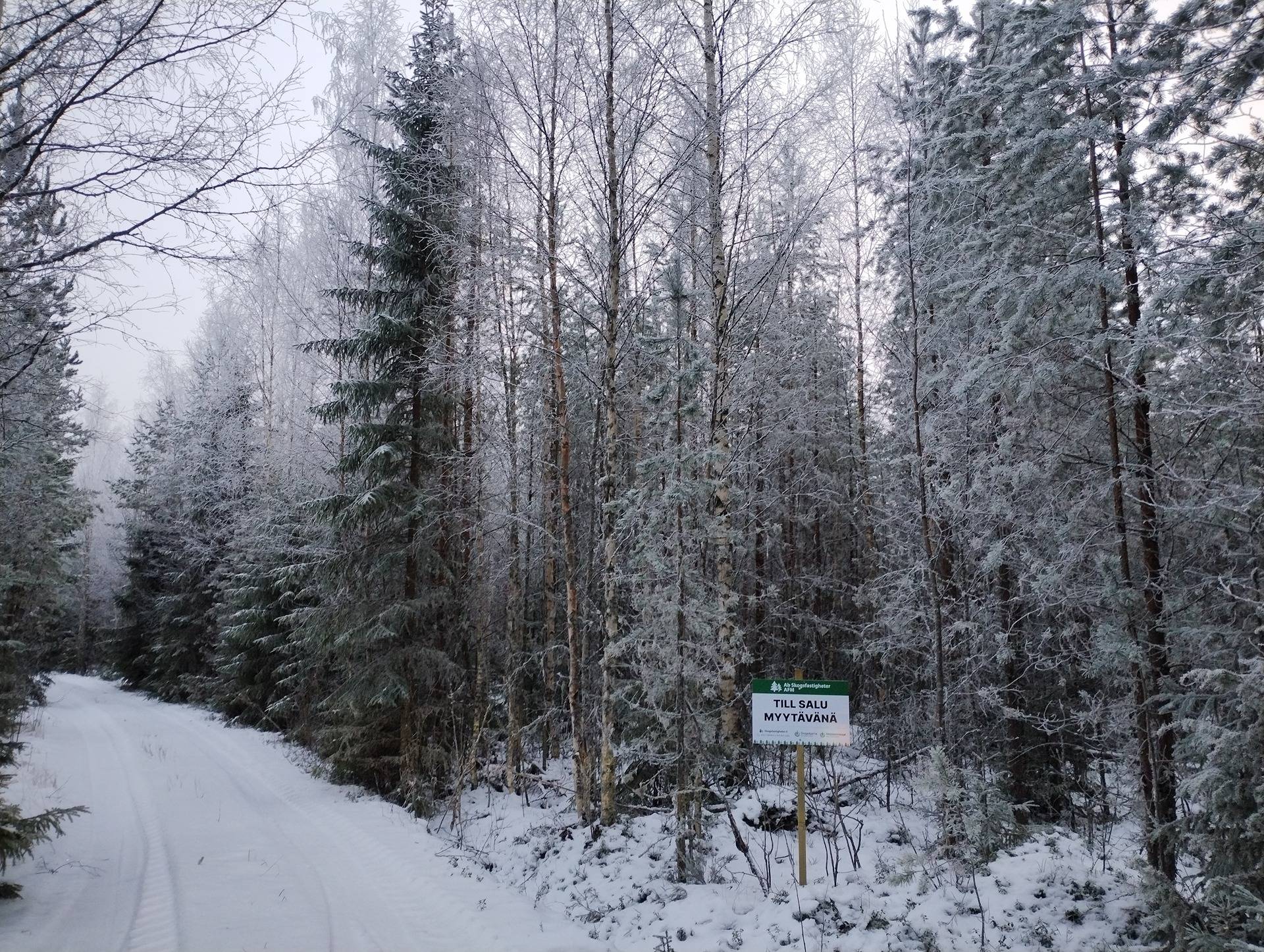 del av/osa Mårtisbyggas 9:140, Nars (Kållby/Kolppi) 1