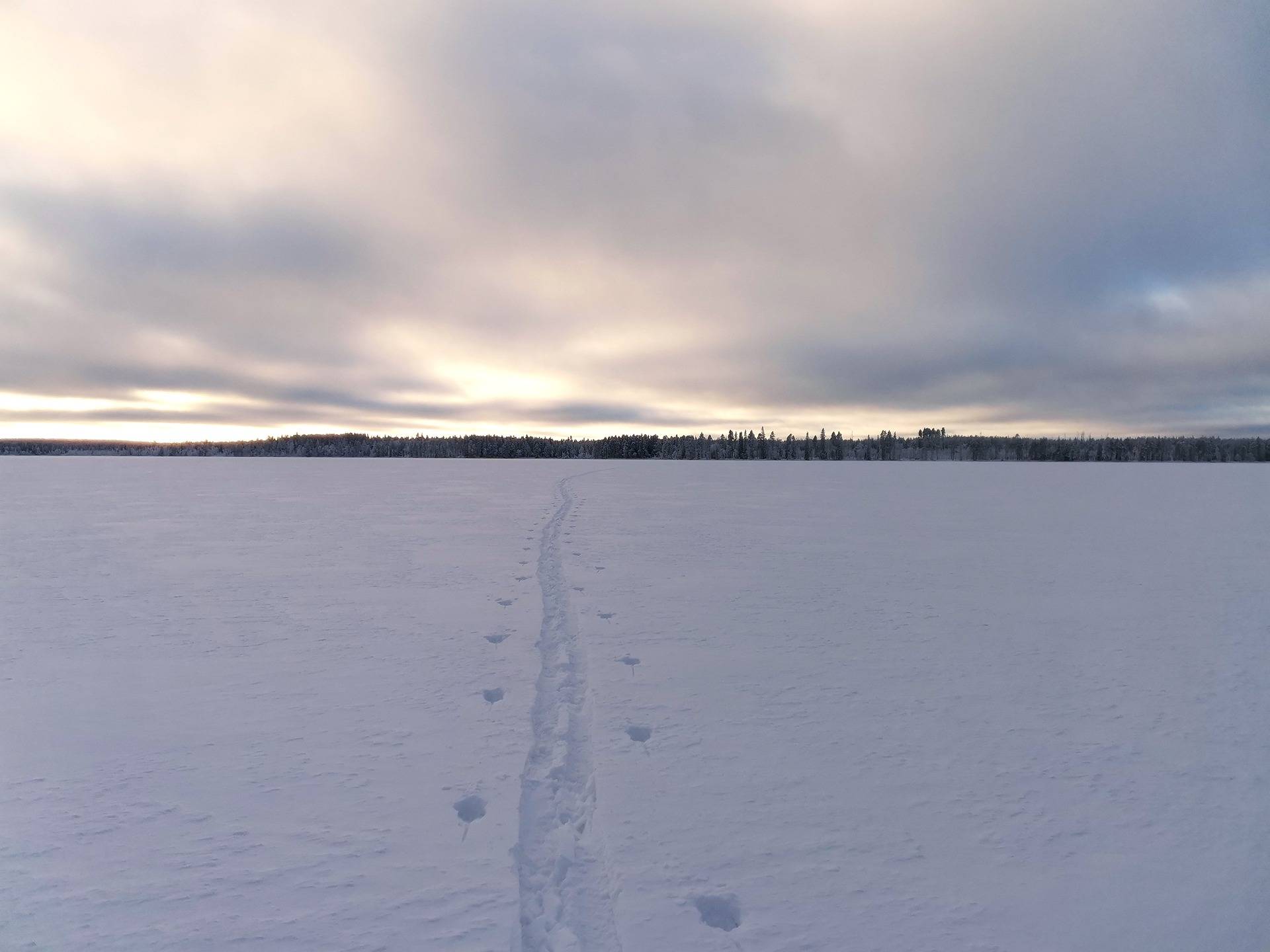 SAUNASAARI 290-411-5-26, Saunajärvi 1