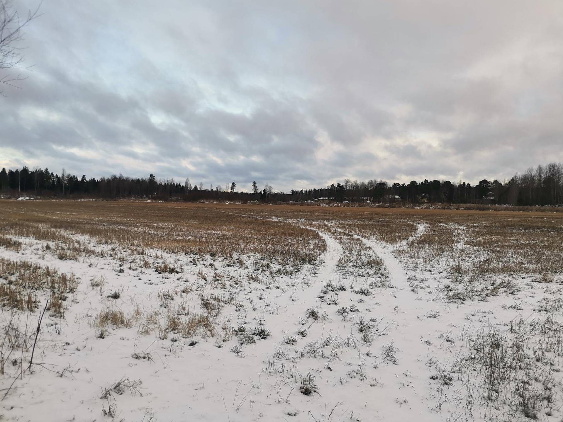 Peltotila: 13,722 ha, Vähä-Voipas; R:no 50-427-1-411, Eura, Savikko. 1