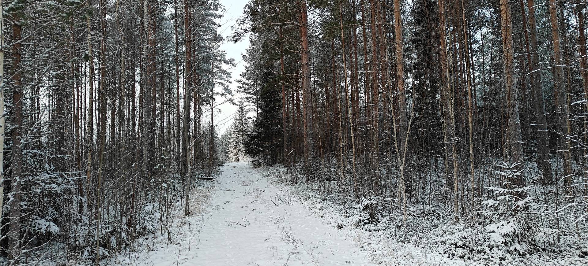 Kuortane, VASUMÄKI 300-401-6-75 määräala 1