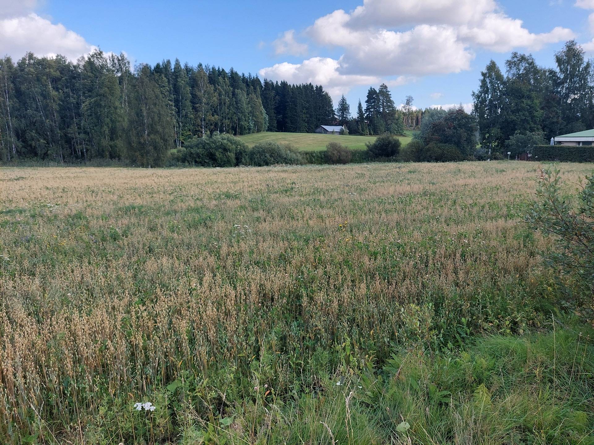 OKT rakennuspaikka (Vastamäentie 84, Ylöjärvi) 1