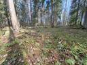 OKT rakennuspaikka (Vanhankouluntie 53, Ylöjärvi) 1