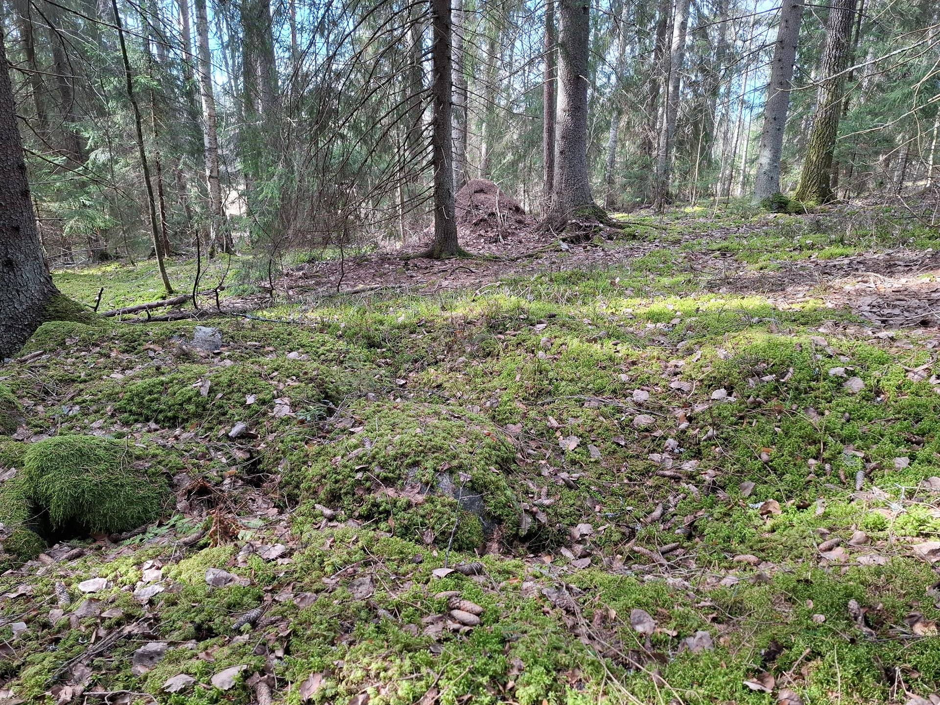 OKT rakennuspaikka (Vanhankouluntie 85, Ylöjärvi) 1