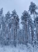 Kotila 765-405-17-19 1