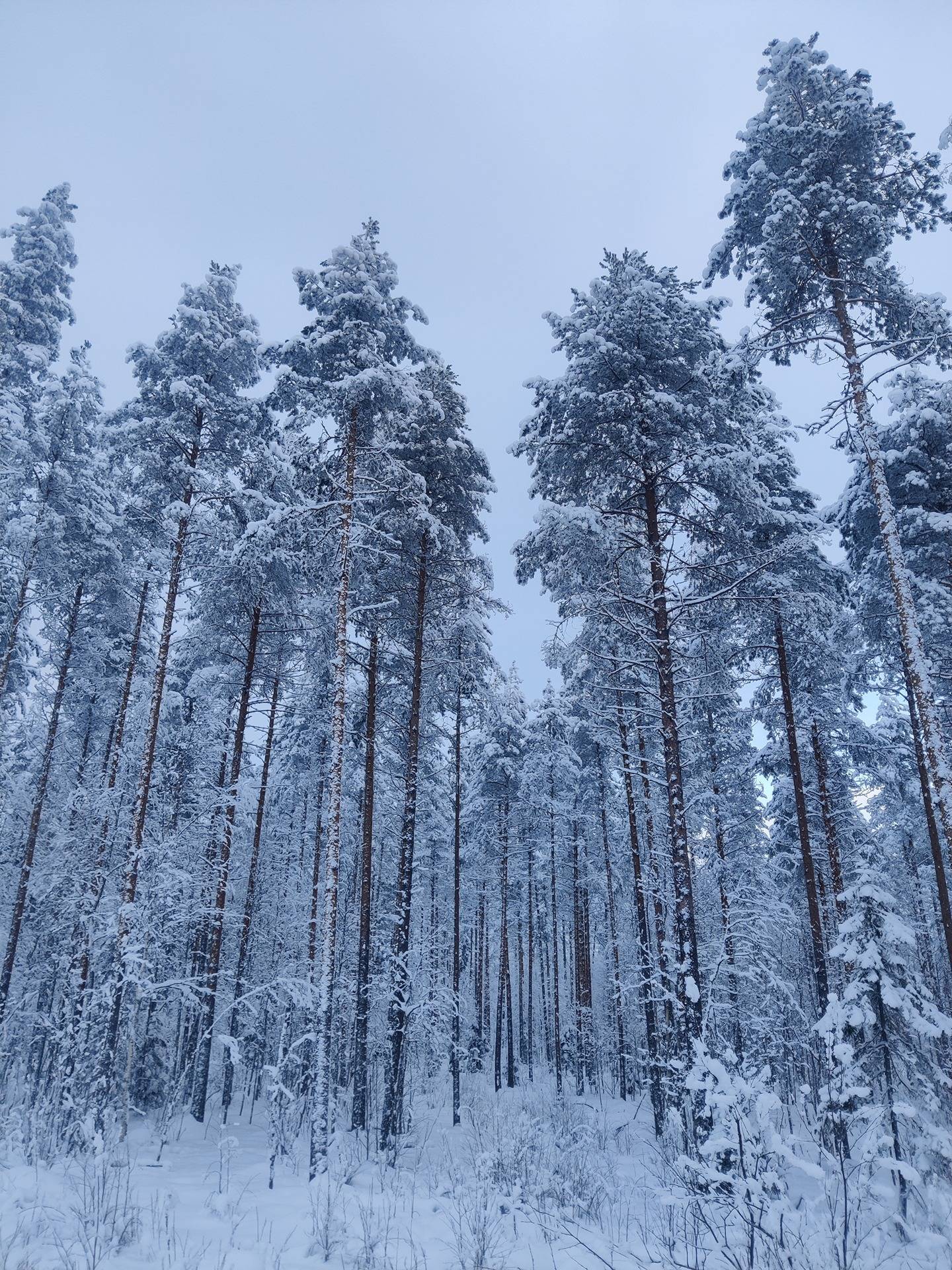 Kotila 765-405-17-19 1