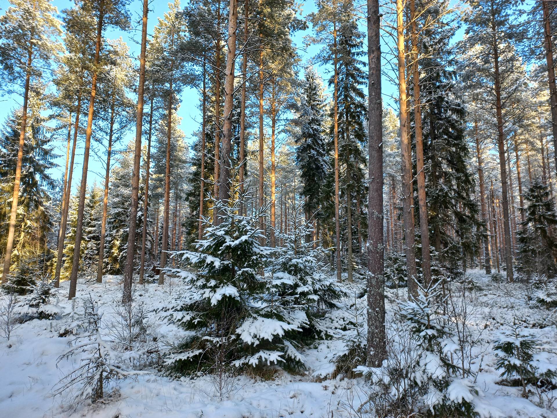Riihimaa, Päntäne-Möykkykylä 1