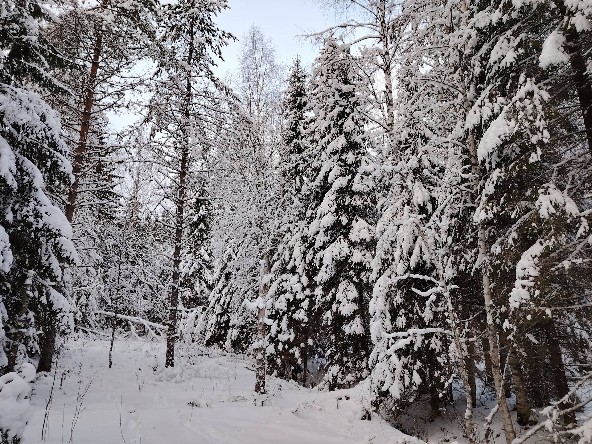 Välivaara 167-411-3-23 1