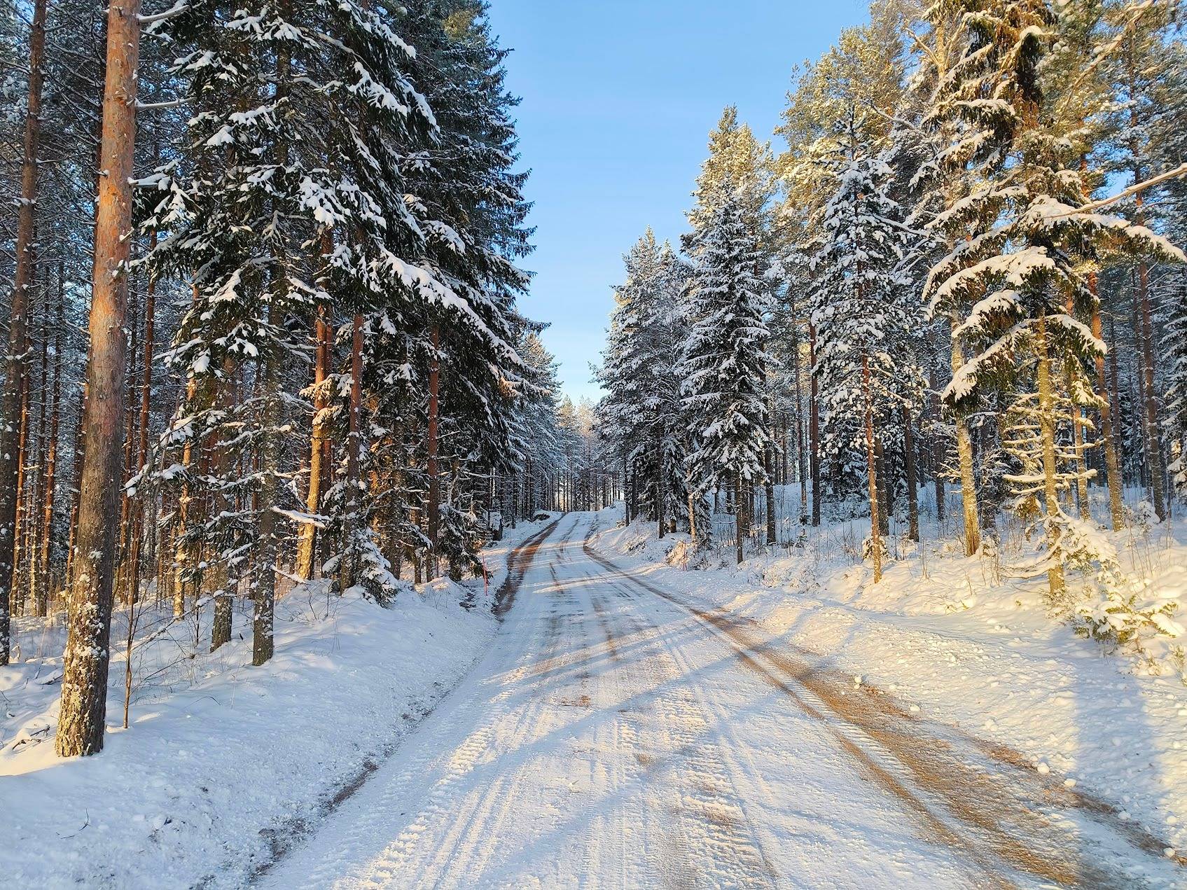 Onnenletka 441-452-2-51 ja Piensalmen tila 441-452-2-50 1