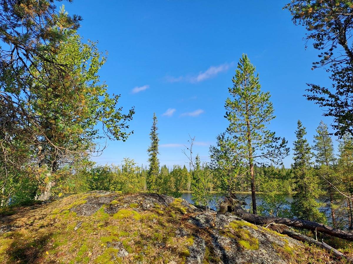 Varpula 305-413-60-18 1