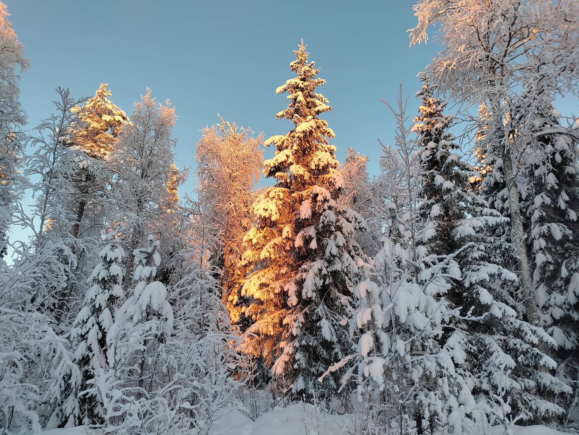 Kuusimaa 305-417-11-5 1