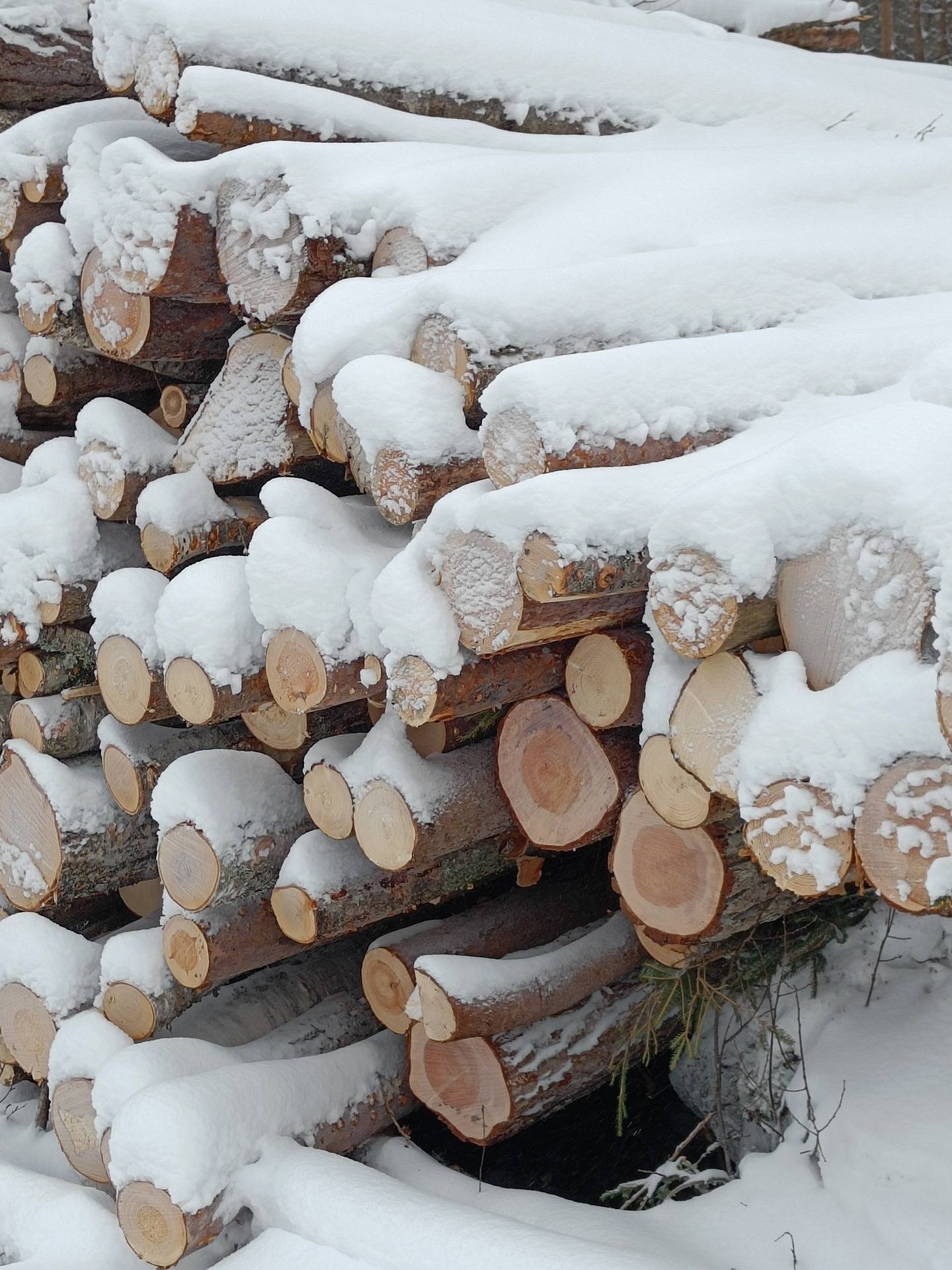 del av/osa Fräkmossbacka 3:15, Forsby 1