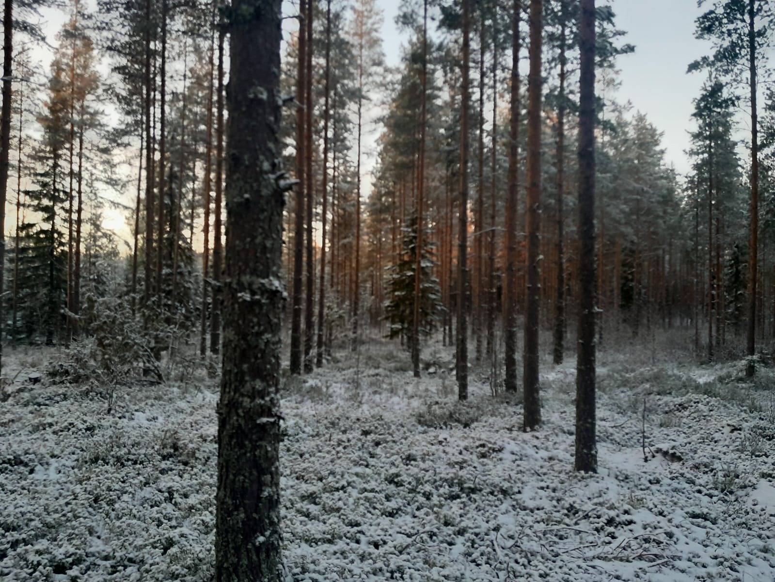 Jalasjärvi Kolho 164-416-3-47 1