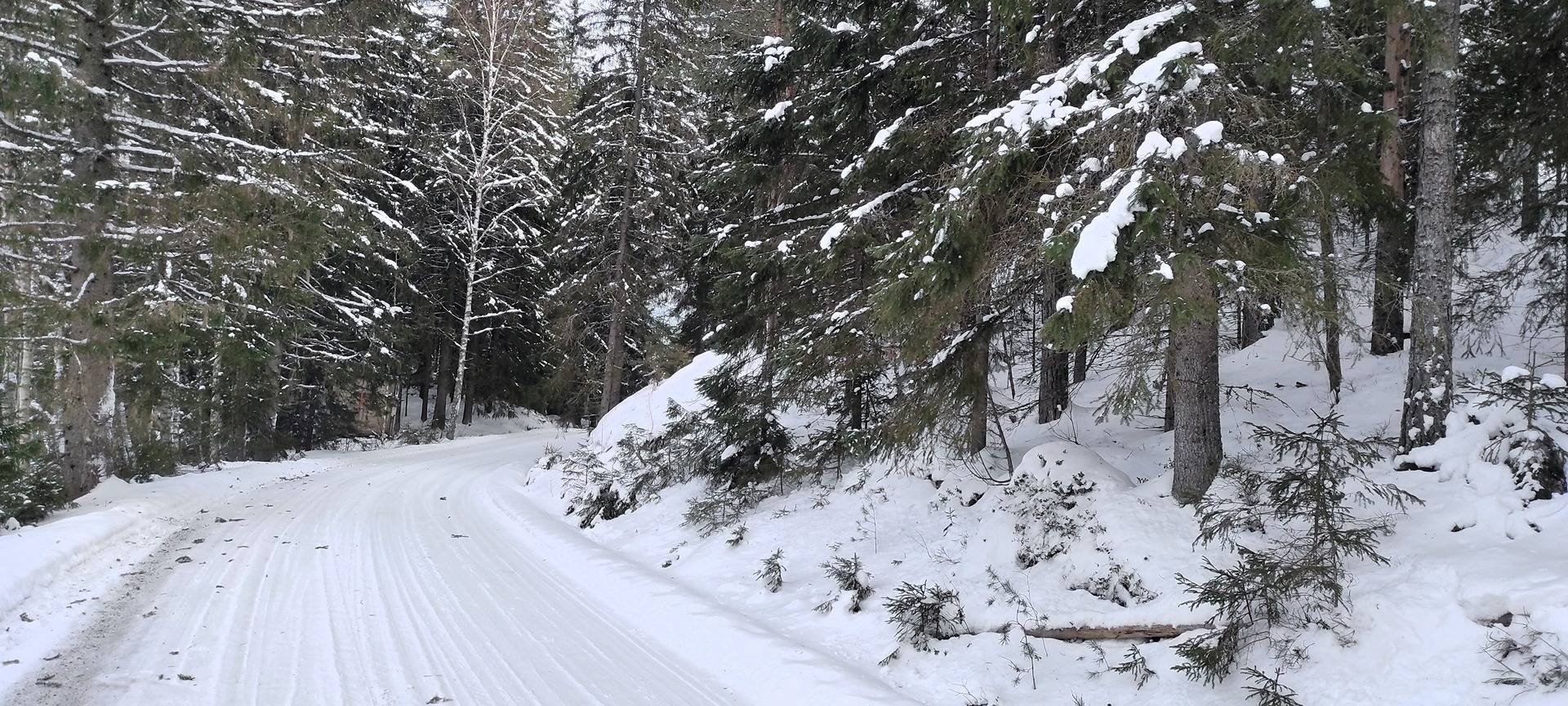 SYRJÄLÄ 505-401-1-171 ja NIMETÖN PIKKUTILA 505-401-1-367 1