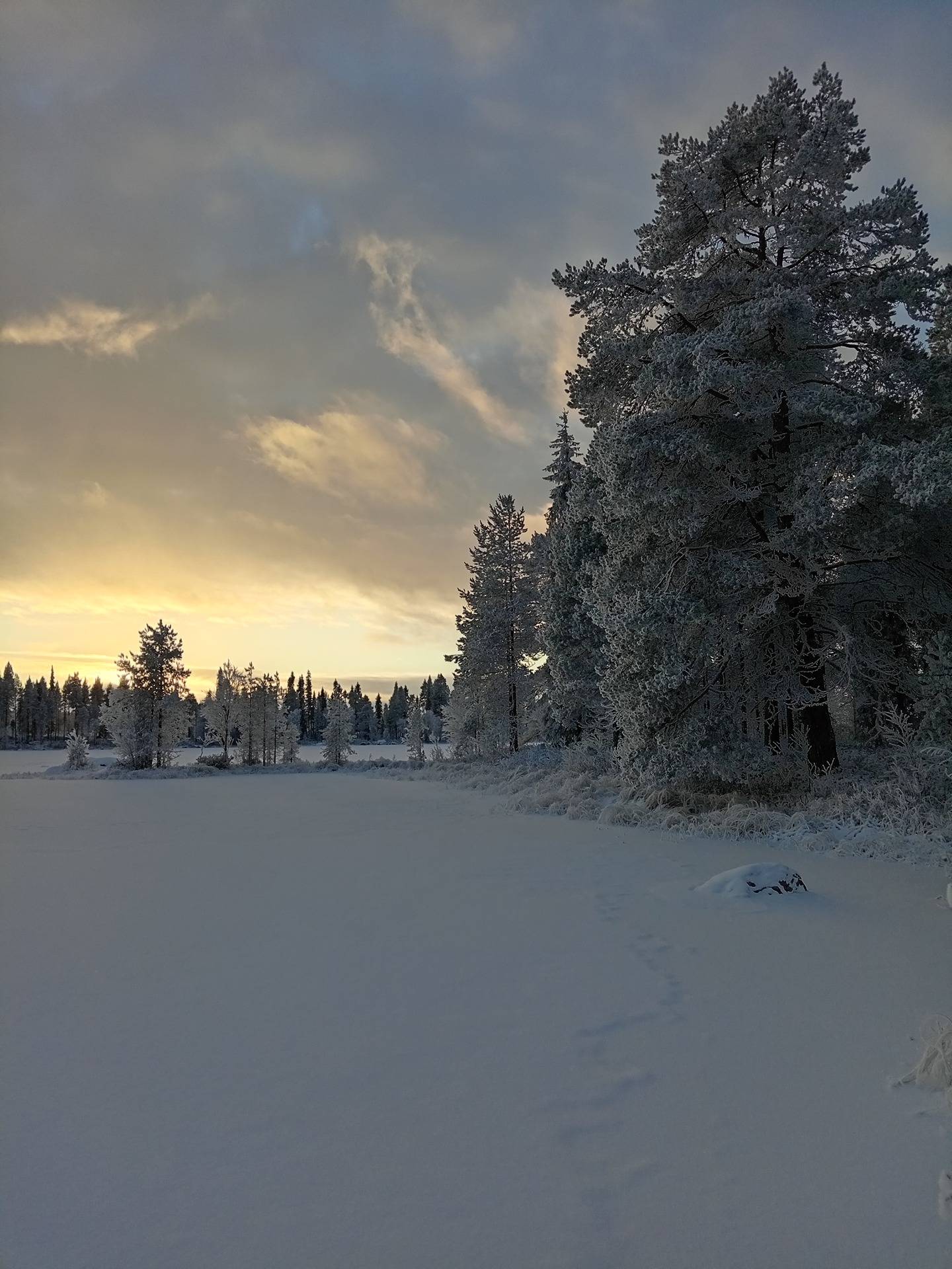 Keinässaari 305-424-10-7 1