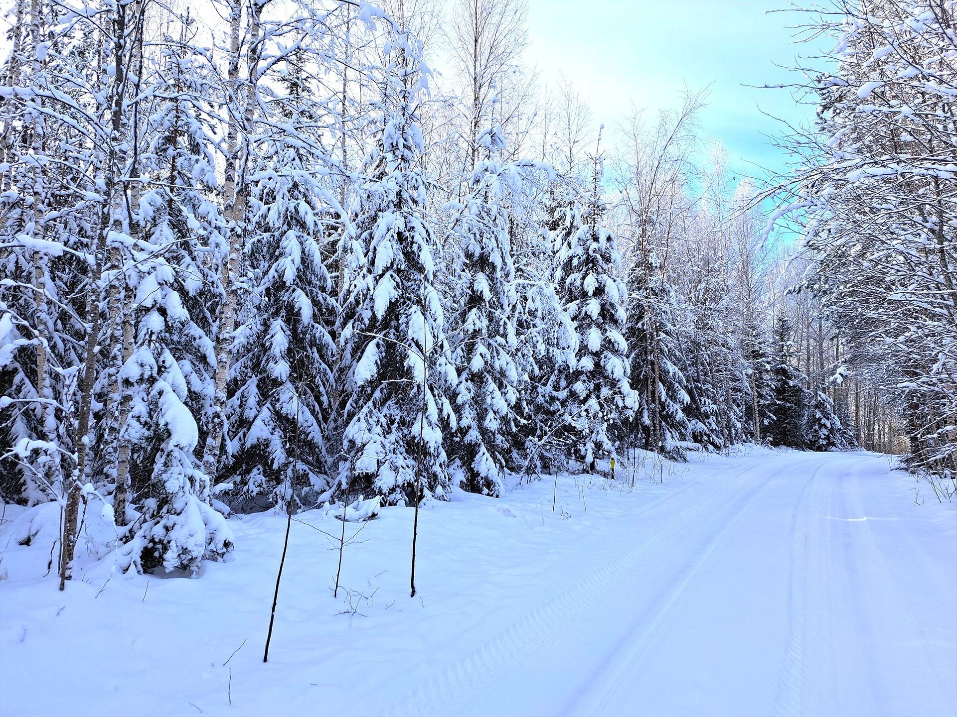 Evijärvi kirkonkylä, metsä- ja peltopalsta noin 4,55 ha 1