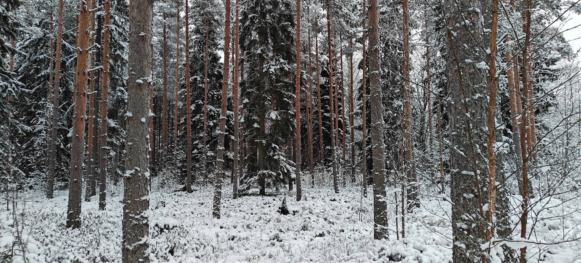 Kuortane, TERVAHAUDANMÄKI 300-402-39-58 ja HAUTAKORPI 300-402-39-28 1