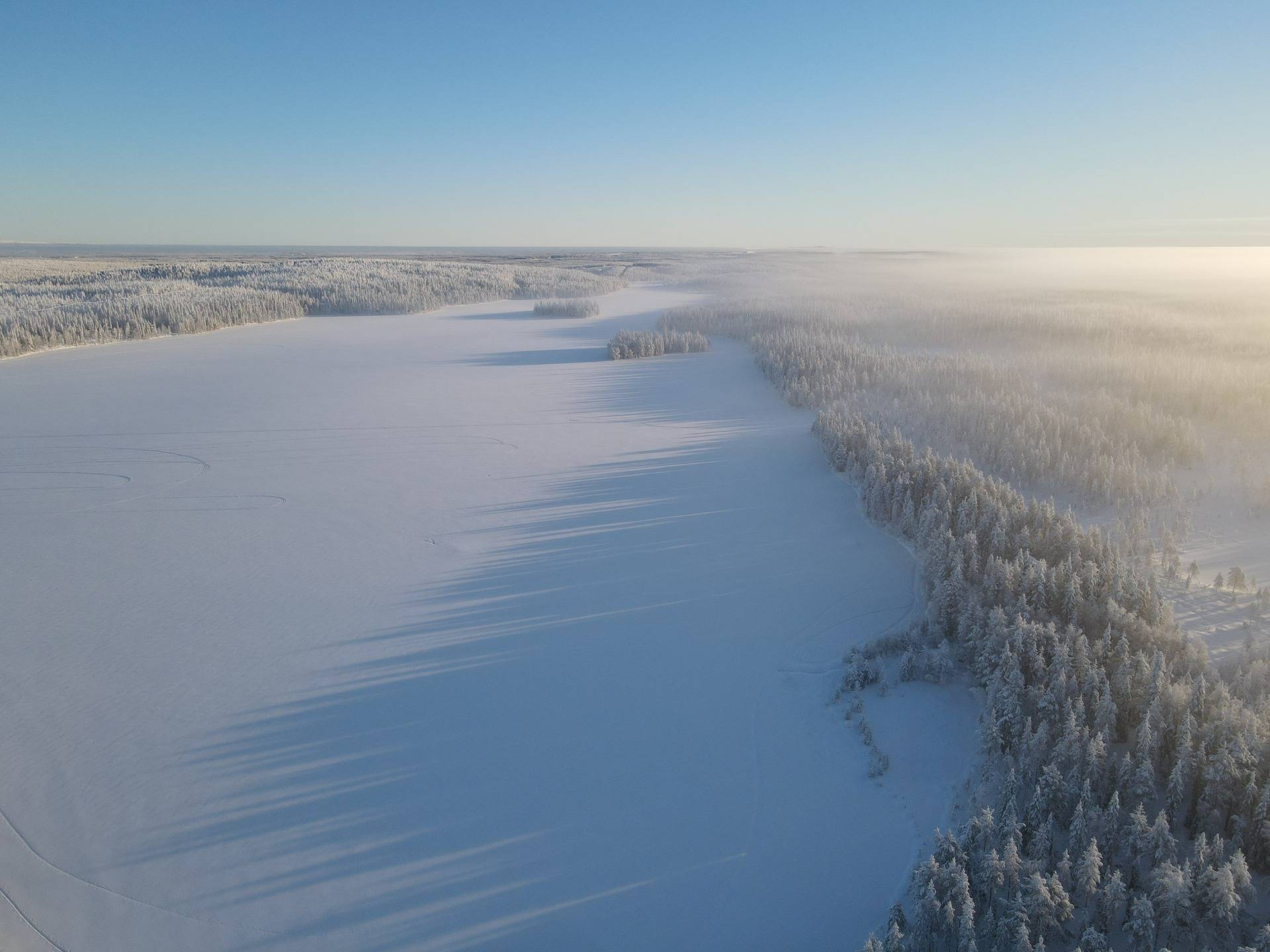 Kuusamon yhteismetsän osuus, määräosa 1