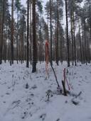 SILMUKKA 422-418-22-2, Nurmijärvi 1