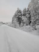 Metsämääräala Kovala 578-403-12-16 1