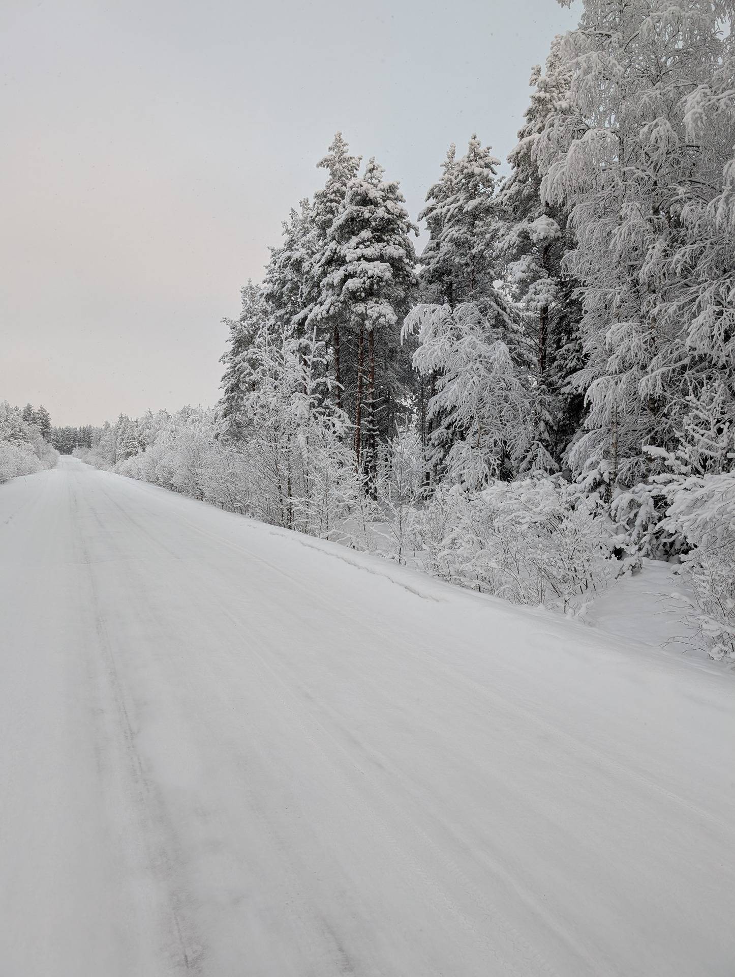 Metsämääräala Kovala 578-403-12-16 1