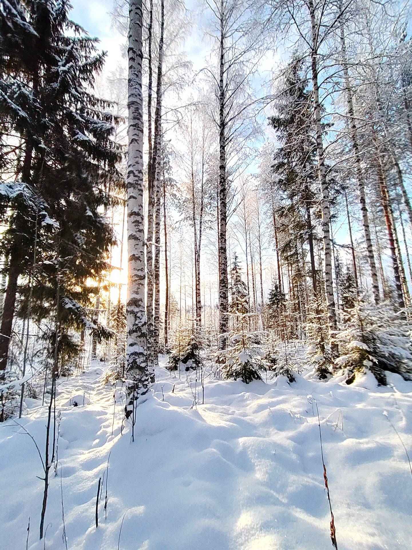 Jokiranta 778-424-11-46 1