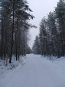 SALMELA 422-418-22-1, Nurmijärvi 1