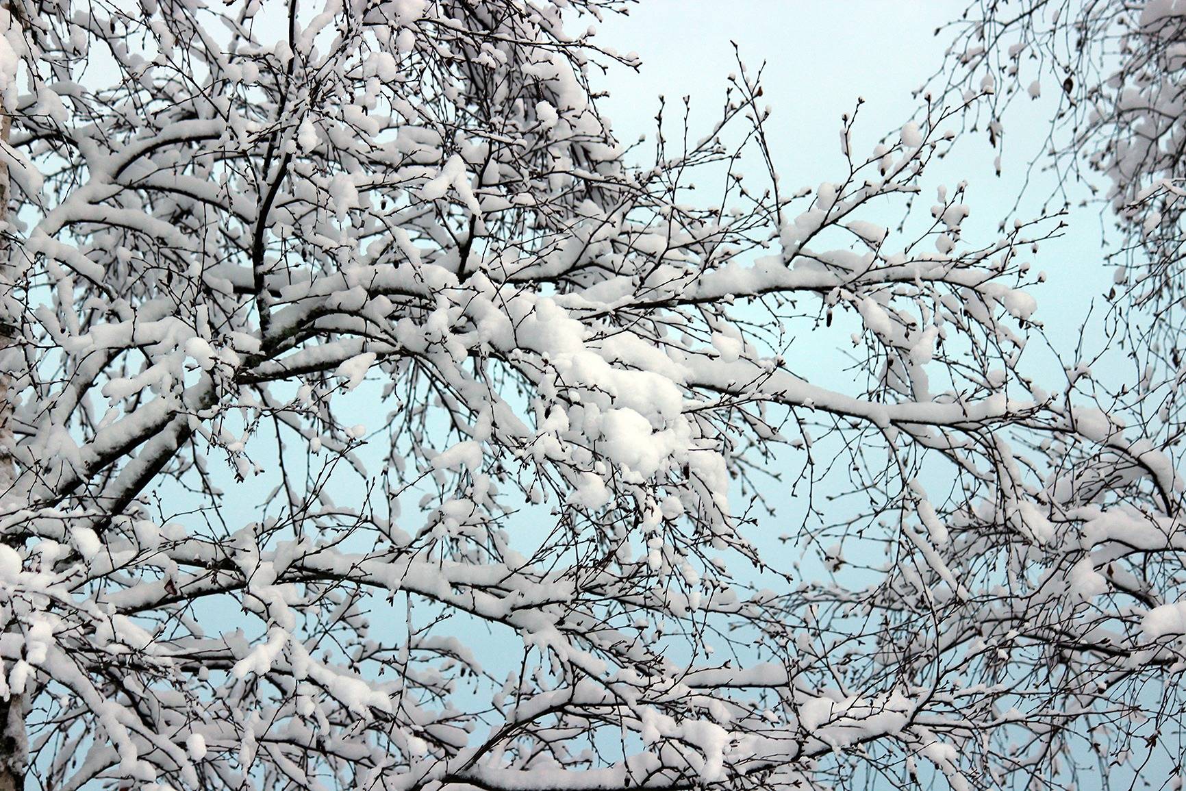 del av/osa Vargas 1:11, Karby 1