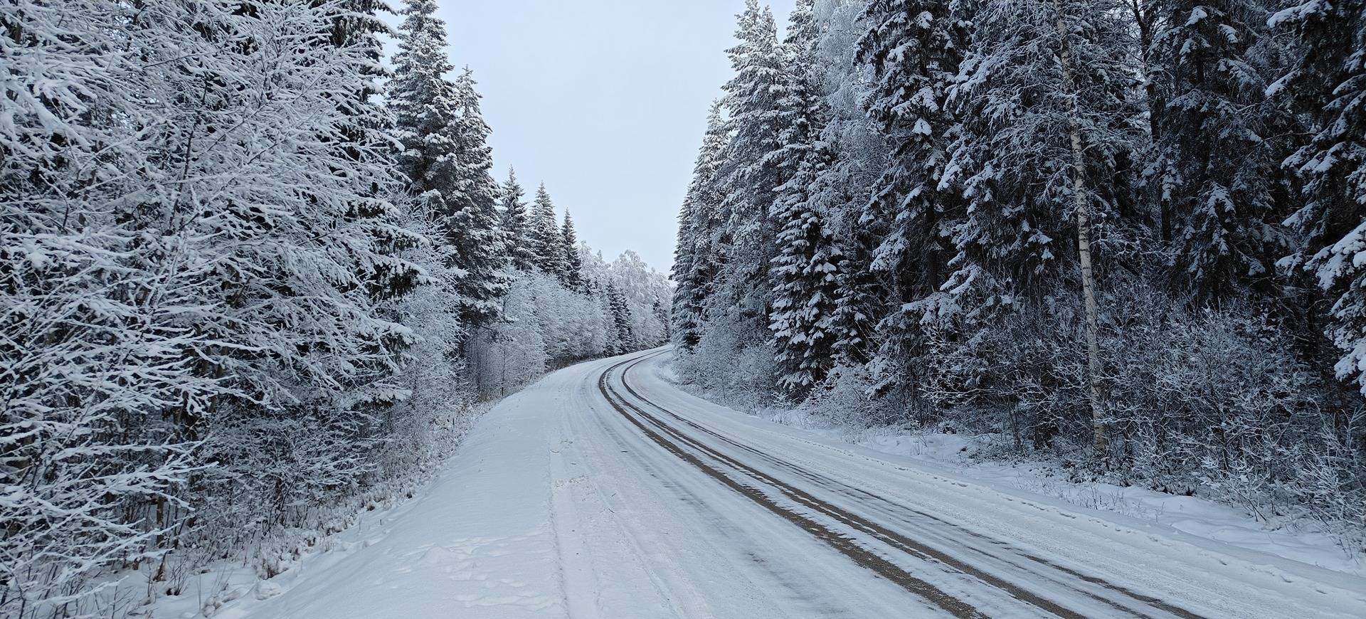 Ähtäri, MÄNTYSALO 989-405-1-206 ja SALO 989-405-1-146 1