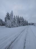 Perintömaa 578-403-9-58 1