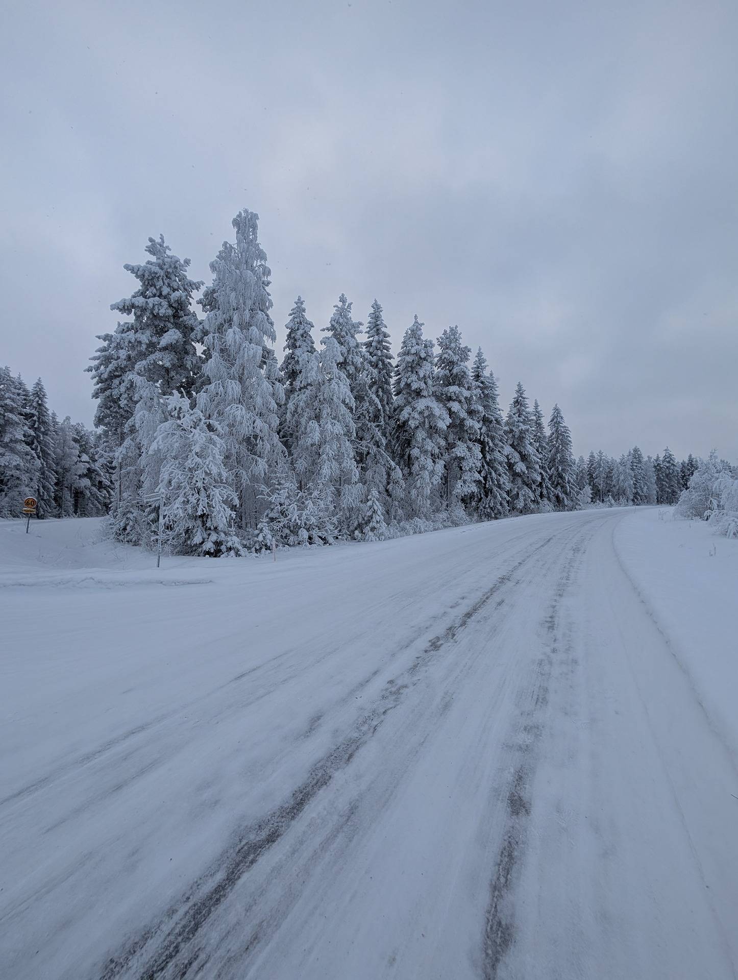 Perintömaa 578-403-9-58 1