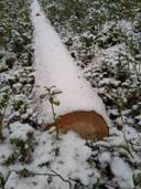 Syd 22:22, Munsala 1