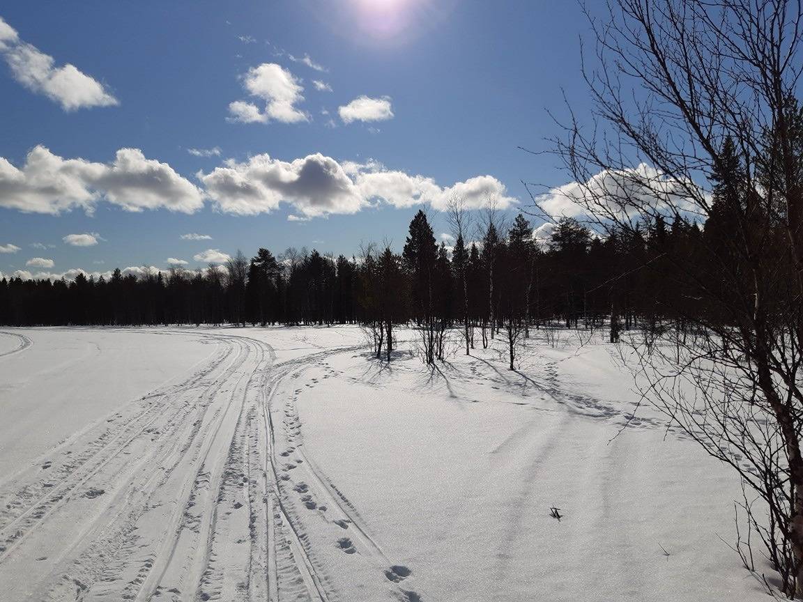 Kuusamon yhteismetsä osuus 1