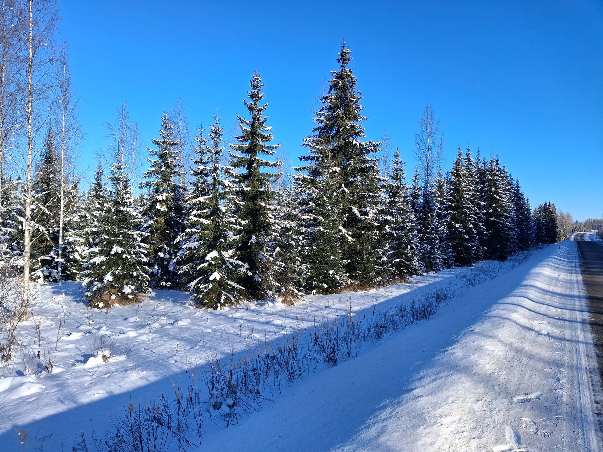 ALIHAKA 98-422-4-58 1