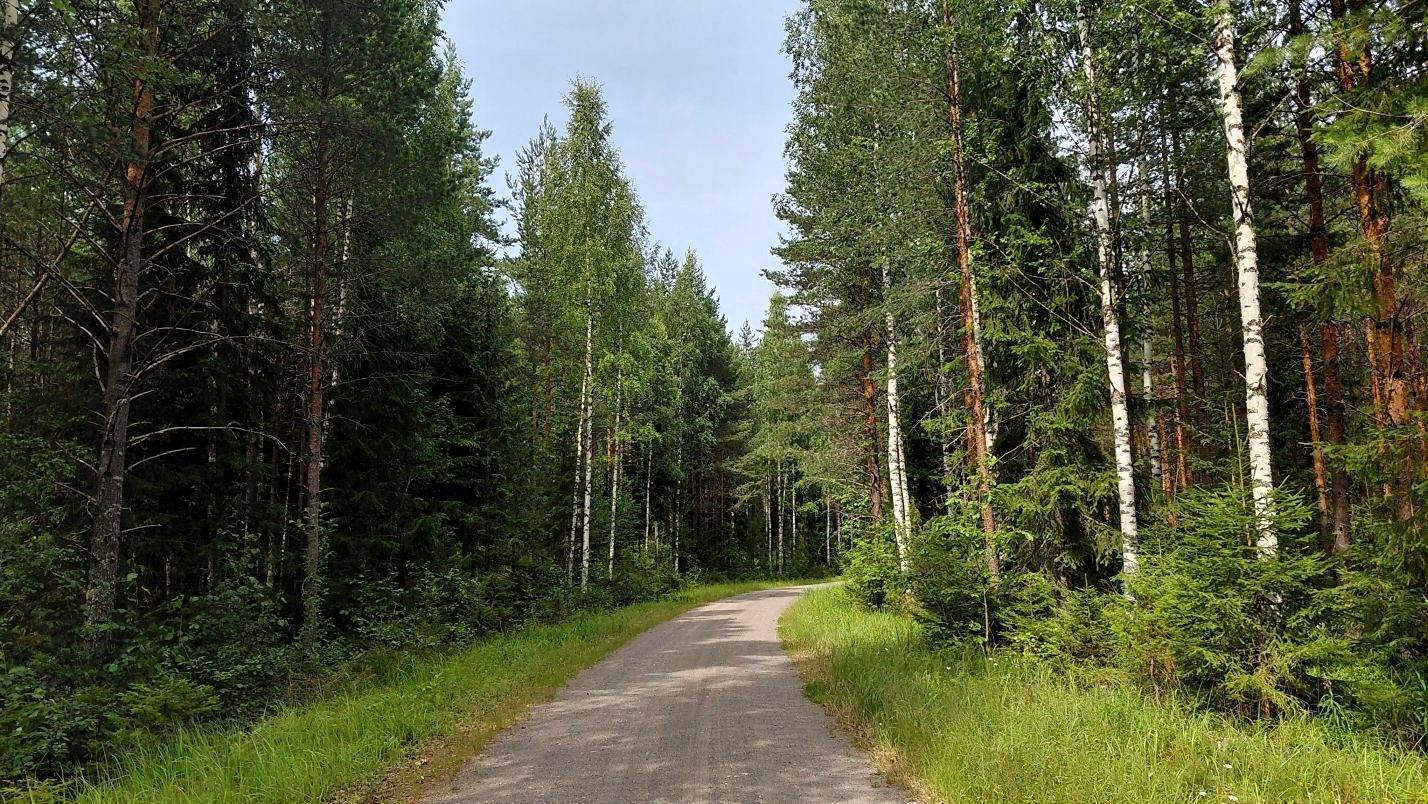 Löytösaari (593-437-3-1) 1