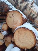 del av Sjödahl 9:135, Molpe 1