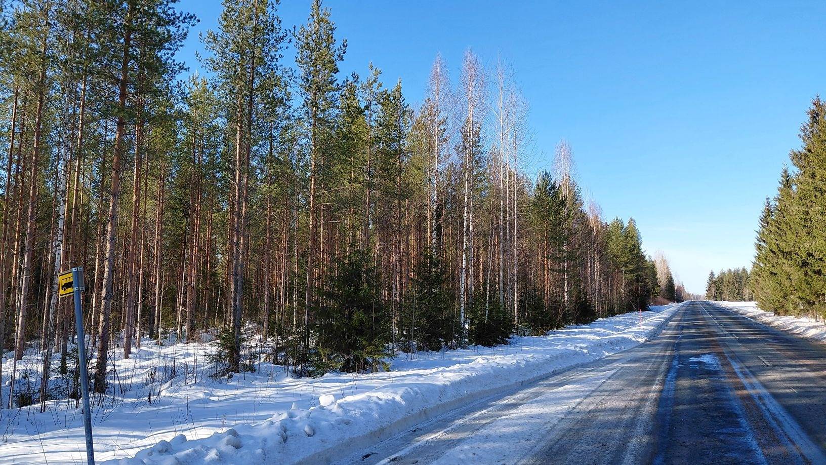 Kansikuva kohteelle Uusipaavola 593-465-11-6