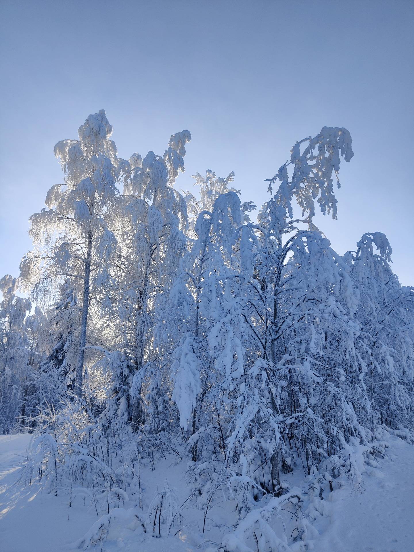 Hakala 765-402-58-5 1