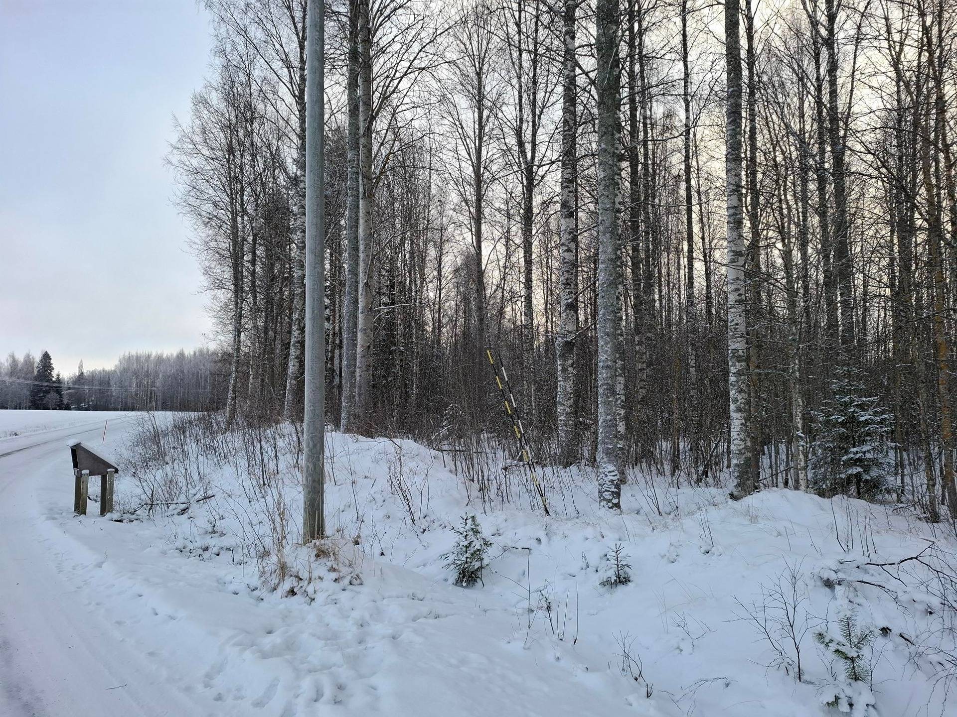 KISAKENTTÄ 426-405-144-15, Mattisenlahti 1