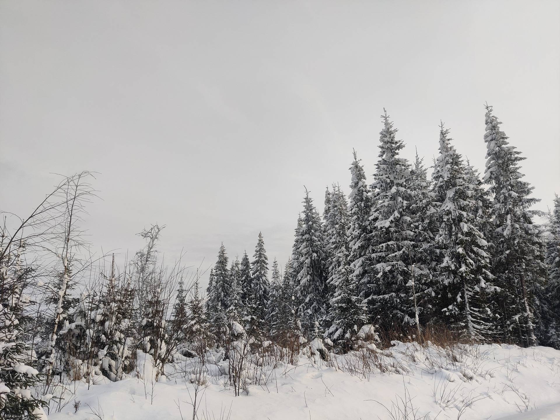 Määräala Keskitalo 765-402-42-16 1