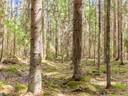 Seinäjoki, Ylistaro, Välineva 743-425-17-80 ja Välineva 743-425-17-89 1