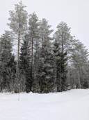 Karsikkoaho 777-407-80-0 1