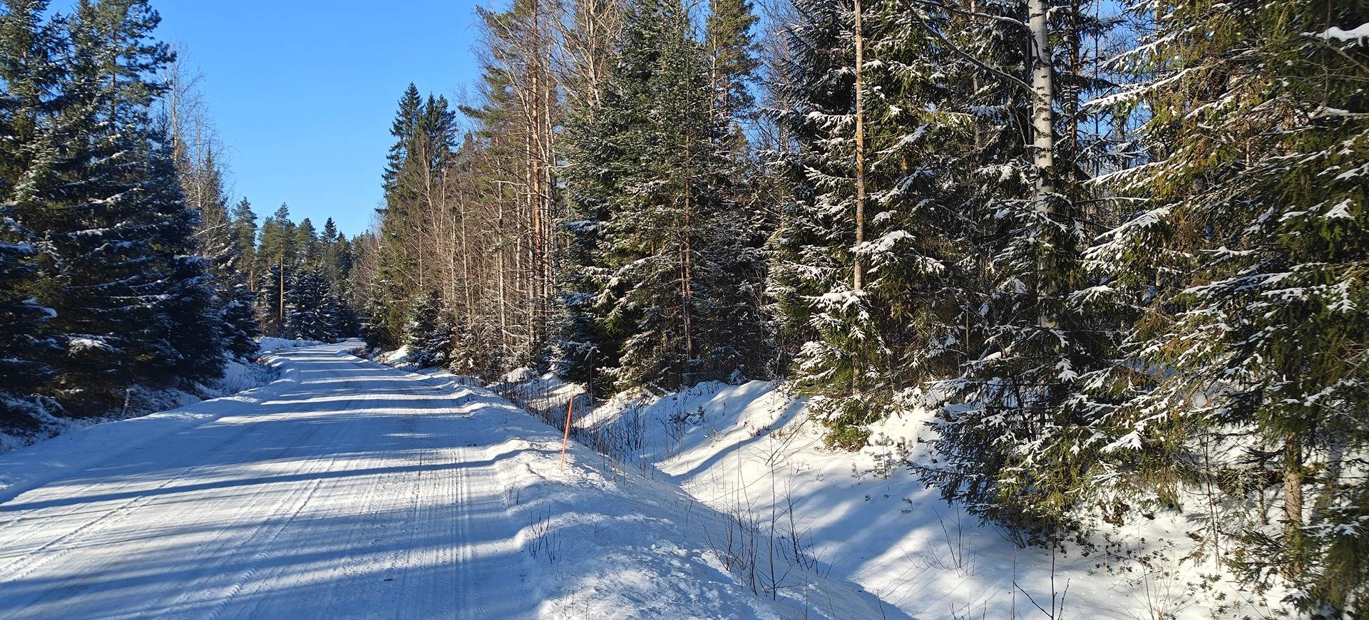 Alavus, 2 palsta 10-405-17-390 1