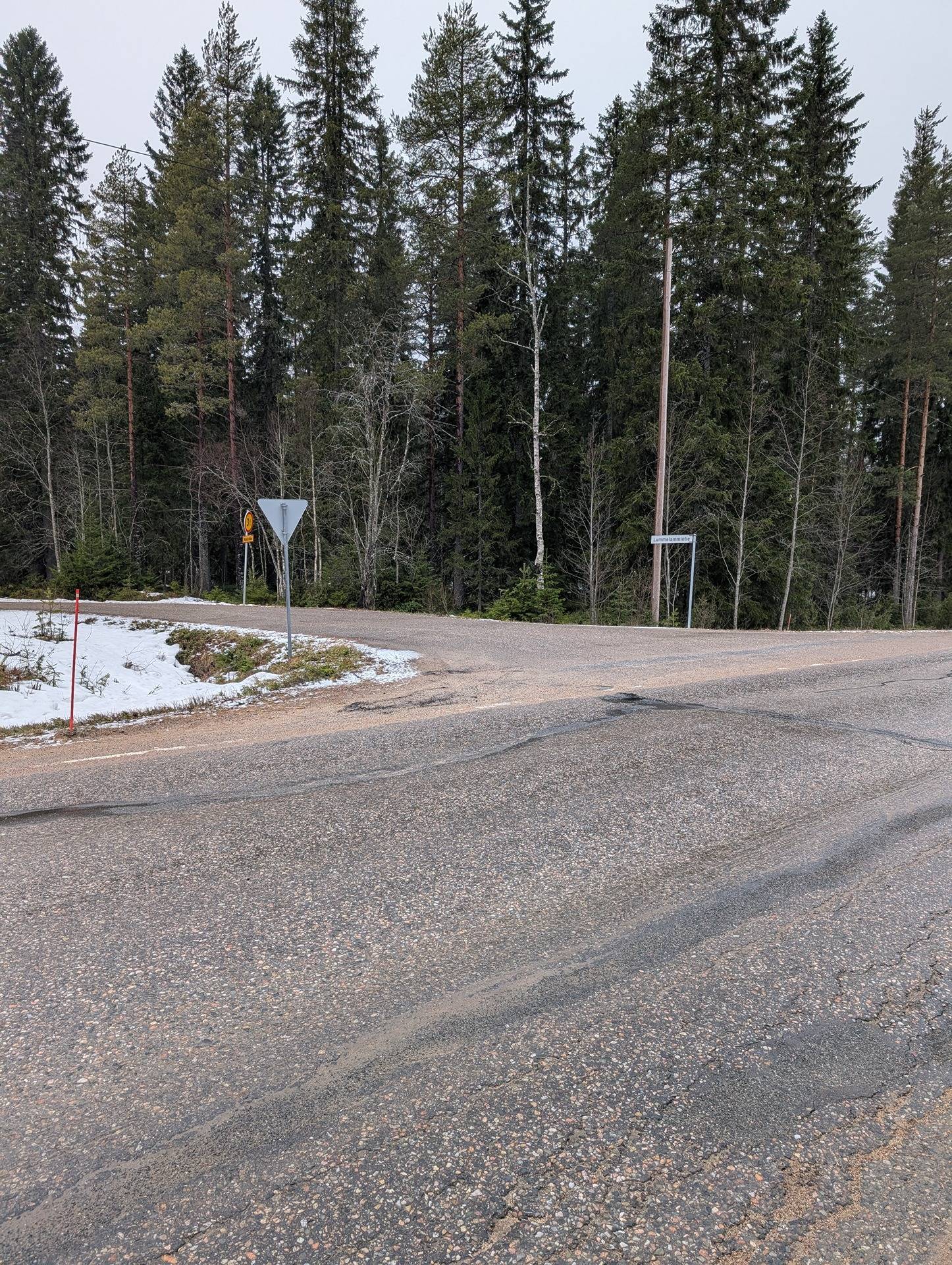 Metsä-Tenhola 697-401-131-18 1