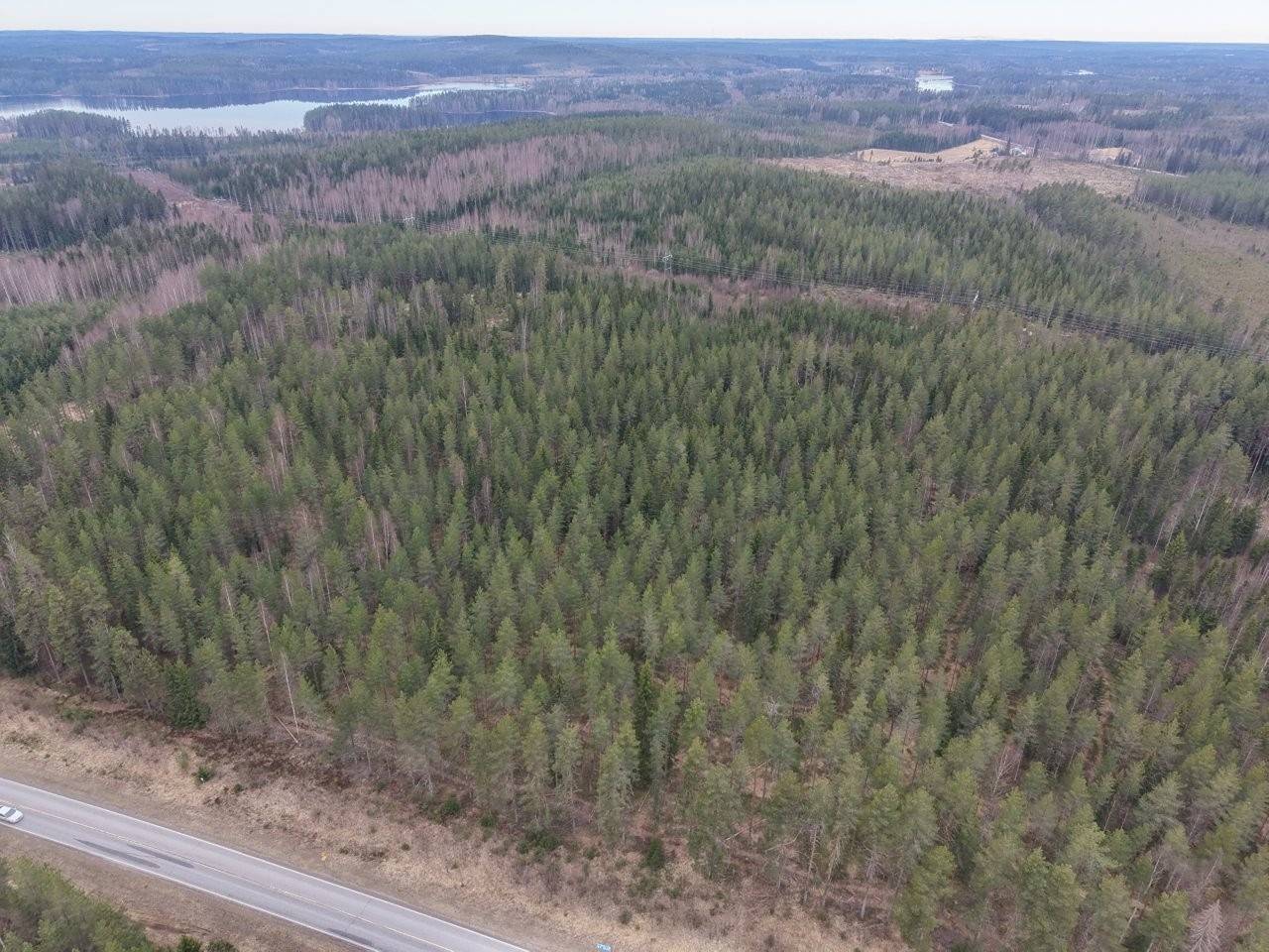 Mänttä-Vilppula, Pynnöskylä, metsätila Marjala. 1