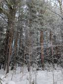 Mäntylä 765-408-33-35 1